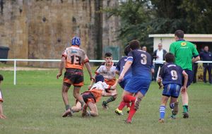 5a06e68711e9e_IMG2962.JPG