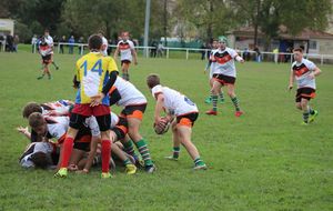 5a073b199fdb3_IMG3054.JPG