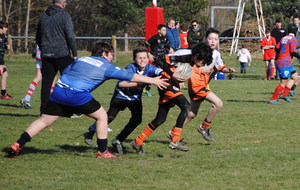 5a9e3fc461cd2_CSC0589.JPG